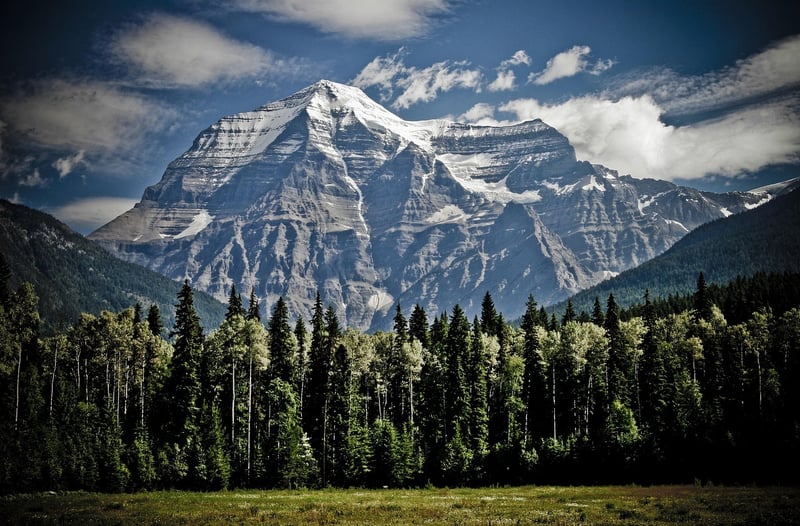 Mountains and Forest